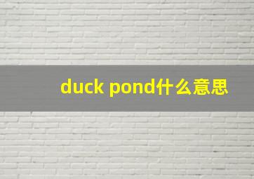 duck pond什么意思